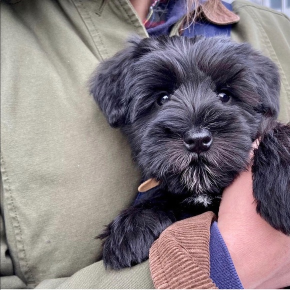 1️⃣ Urban Teacher 2️⃣ High Desert Dweller 3️⃣ Upcycler 4Ever 🙌🏼 - Picture 6 of 13